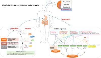 Implications of lncRNAs in Helicobacter pylori-associated gastrointestinal cancers: underlying mechanisms and future perspectives